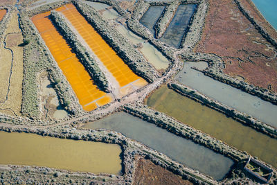 High angle view of agricultural field