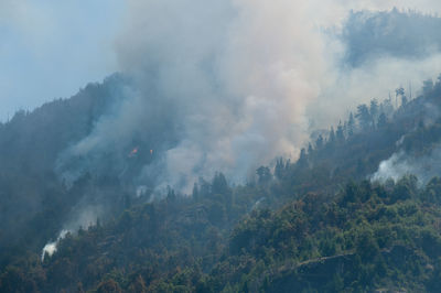 Low angle view of forest fire on mountain