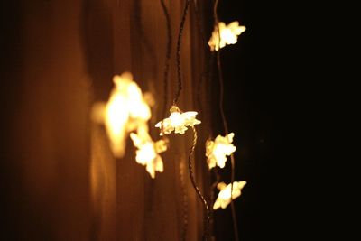 Close-up of burning fire in the dark