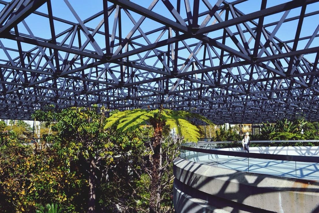 built structure, tree, low angle view, architecture, metal, sunlight, growth, sky, day, outdoors, no people, pattern, connection, railing, shadow, reflection, metallic, nature, plant, bridge - man made structure