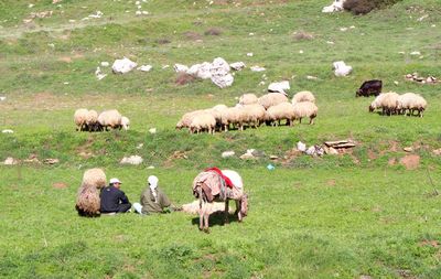 People relaxing on grassy field