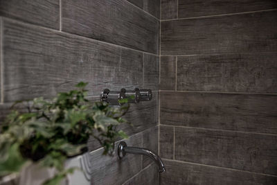 High angle view of potted plants on wall