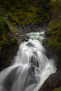 Scenic view of waterfall in forest