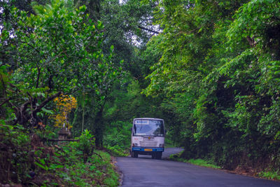 Road amidst trees in forest