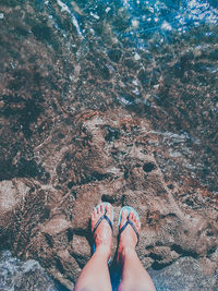 Low section of woman standing on beach