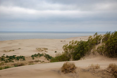 Scenic view of sea against sky. curonian spit