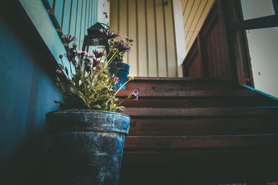 Close-up of potted plant in vase