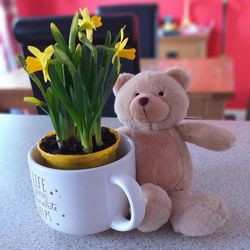 Close-up of stuffed toy on table at home