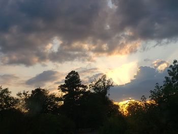 Low angle view of silhouette trees against sky during sunset