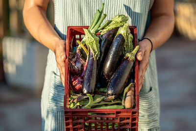 Close-up of a girl taking a box with vegetables from her garden