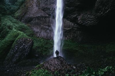 Rear view of man standing in front of latourell falls