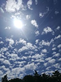 Low angle view of trees against blue sky