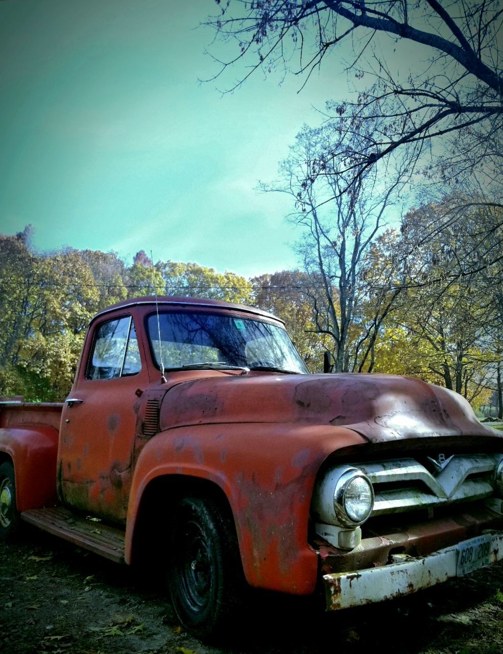 mode of transportation, car, motor vehicle, land vehicle, transportation, tree, abandoned, day, plant, damaged, sky, obsolete, nature, old, retro styled, land, rusty, no people, vintage car, deterioration, ruined, junkyard