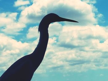 Low angle view of silhouette bird on hand against sky