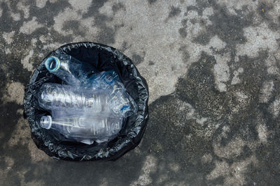 High angle view of fish on beach