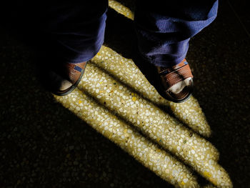 Low section of man standing on floor