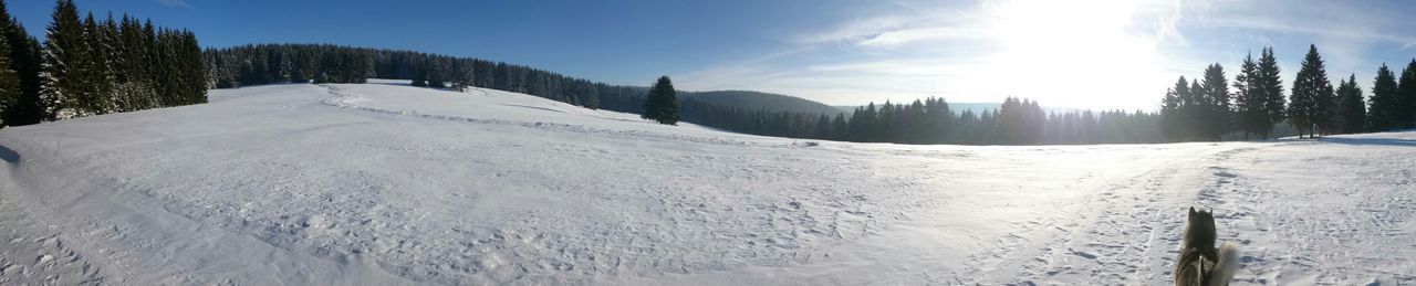 Panoramic view of snowcapped mountains against sky