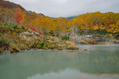 Scenic view of lake by trees during autumn