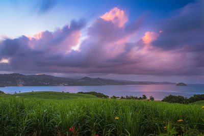 Scenic view of field against sky during sunset