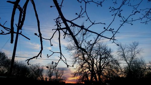 Low angle view of silhouette bare trees against clear sky