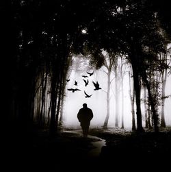 People walking in forest