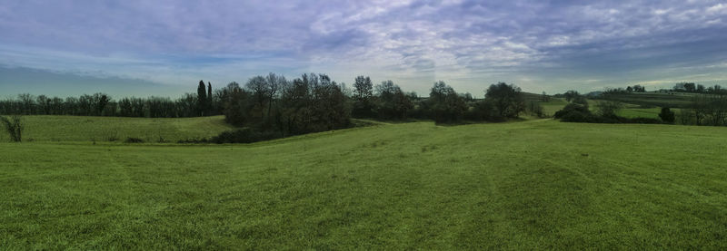 Scenic view of field against sky