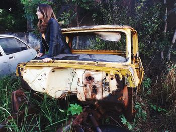 Dog by car on land