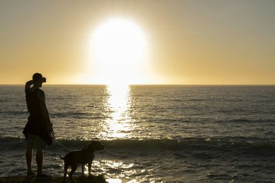 Dog in sea at sunset