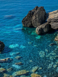 High angle view of rock formation in sea