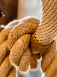 Close-up of ropes