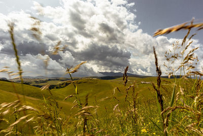 Scenic view of land against sky