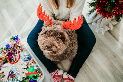 High angle view of woman holding christmas ornament
by dog and christmas tree