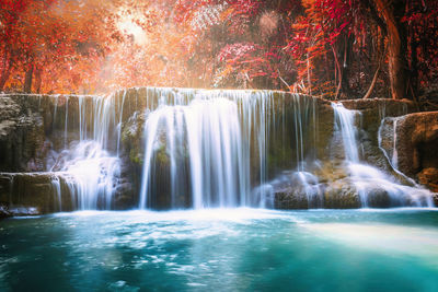 Low angle view of waterfall in forest