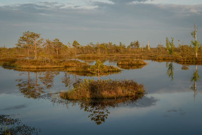 Reflection of tree in lake against sky