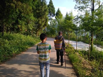 Rear view of people walking on footpath amidst trees