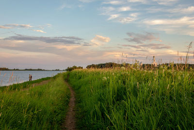 Scenic view of agricultural field against sky during sunset