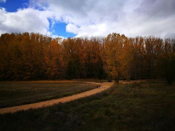 Scenic view of forest against sky during autumn