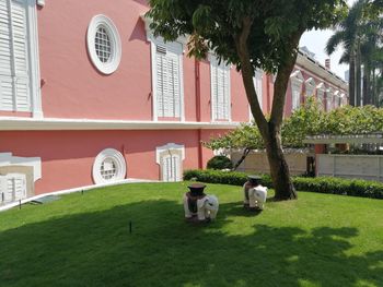 High angle view of people in lawn outside building