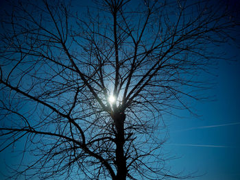 Low angle view of silhouette tree against blue sky