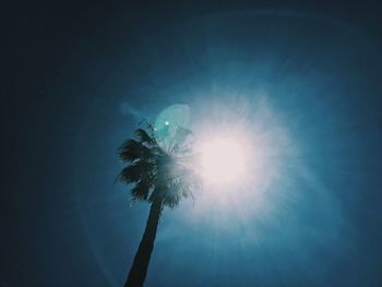 Low angle view of palm trees against blue sky