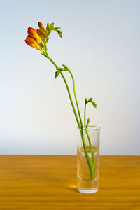 Flower in vase on wooden table