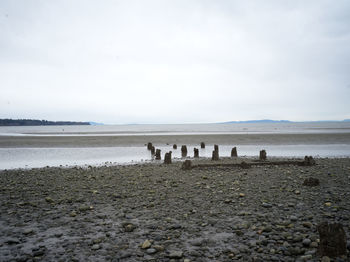 shore