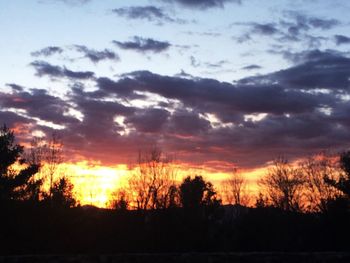 Silhouette of trees at sunset