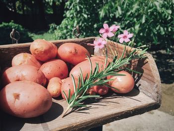 Close-up of potatoes