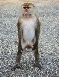 Portrait of young man sitting outdoors
