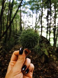 Cropped hand holding moss