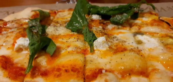 Close-up of food served in plate