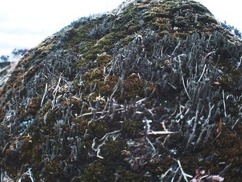 Low angle view of mountain against sky