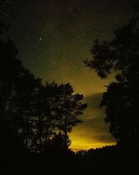 Low angle view of silhouette trees against sky at night