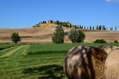 Hay bales on field against clear sky